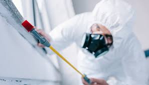 Best Pest Exclusion Services  in East End, AR